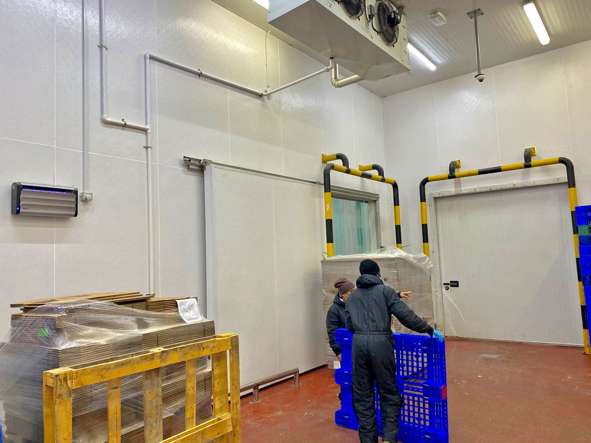 Americana - FRP Wall Panel - Food Plant