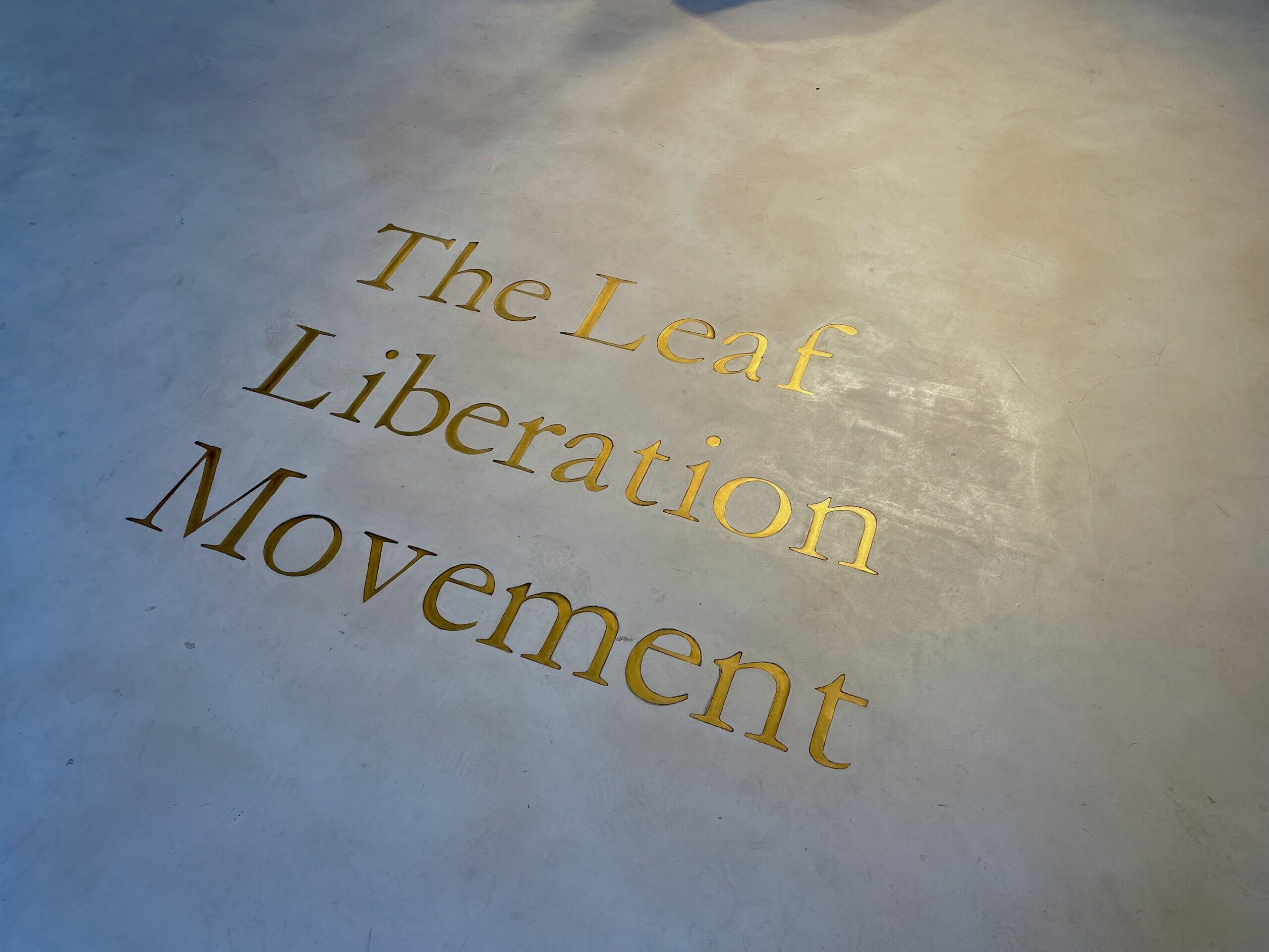 Pekoe Cafe - Microcement Flooring with Engraved Metal Inlays - Reception Area 2