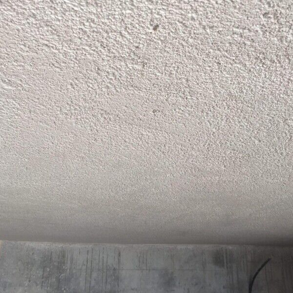 Campo Das Cebolas, Lisbon, Portugal