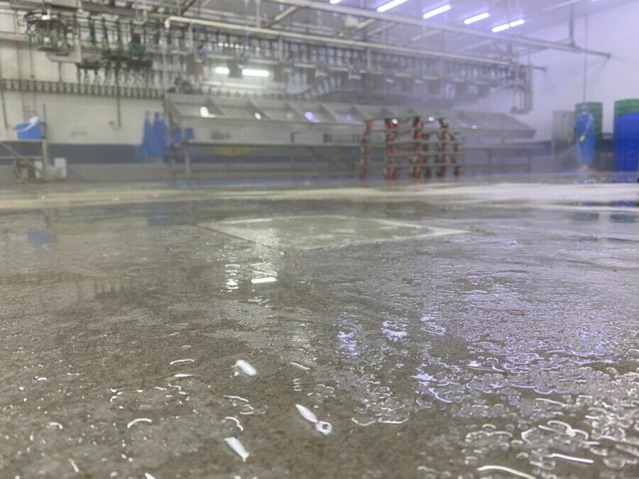 MMA Flooring 06