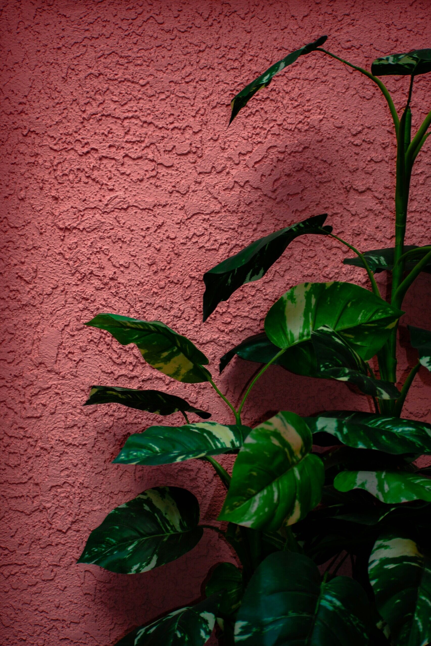 Popular Wall Texture Options